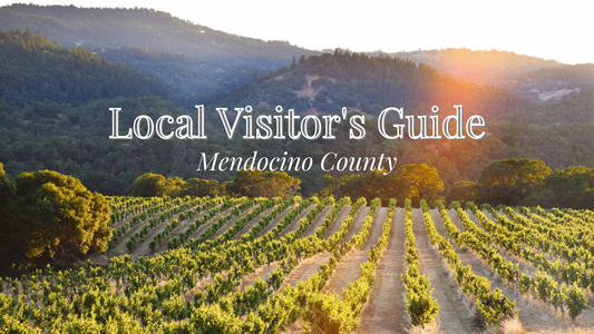 Our Mendocino County Guide